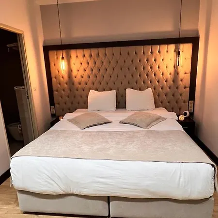 Paris Luxury - Cdg Aeroport 住宿加早餐酒店 鲁瓦西昂法兰西