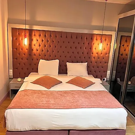 Paris Luxury - Cdg Aeroport Nocleg ze śniadaniem 3*