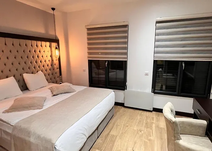 Paris Luxury - Cdg Aeroport 4*